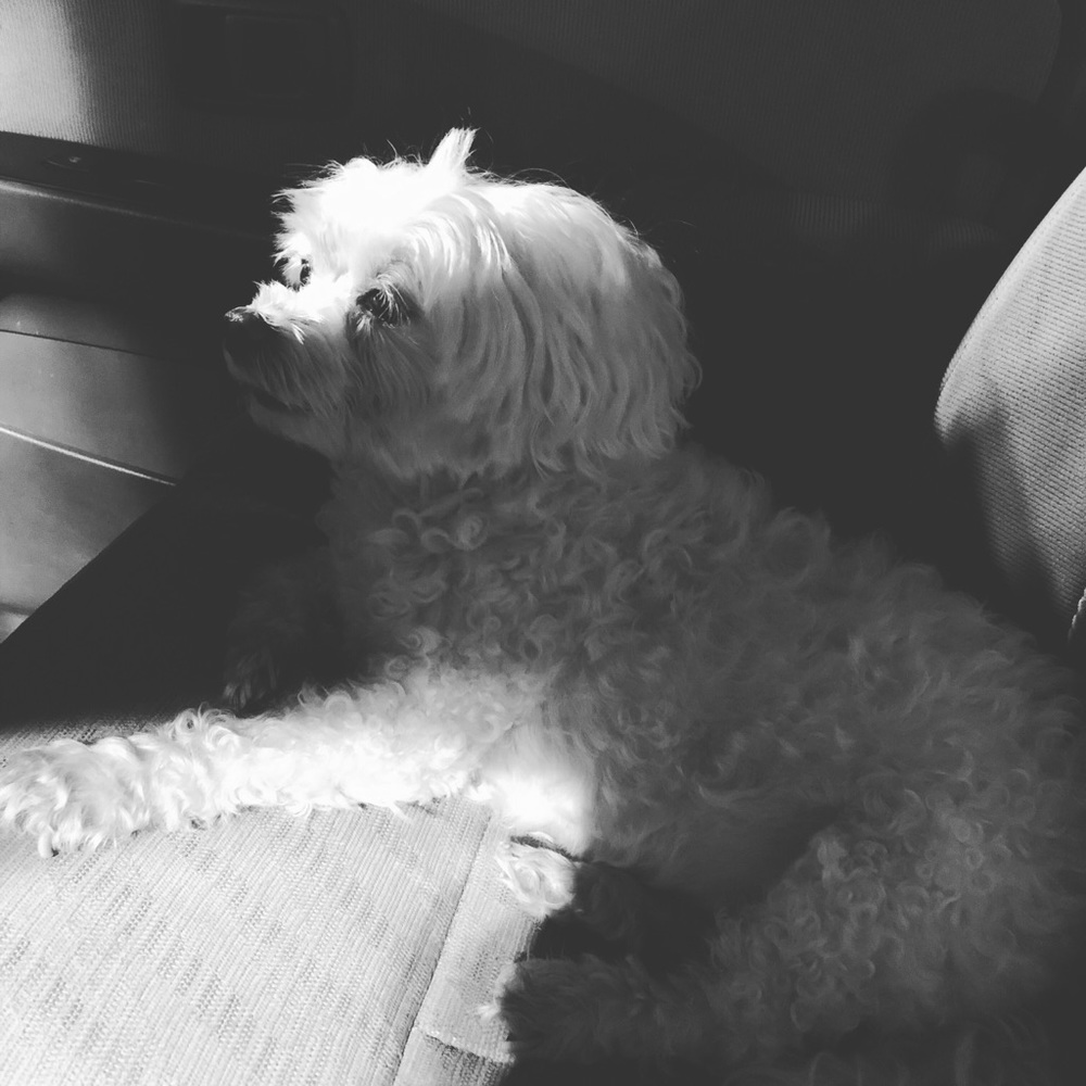 Meet your Posher, Tuan